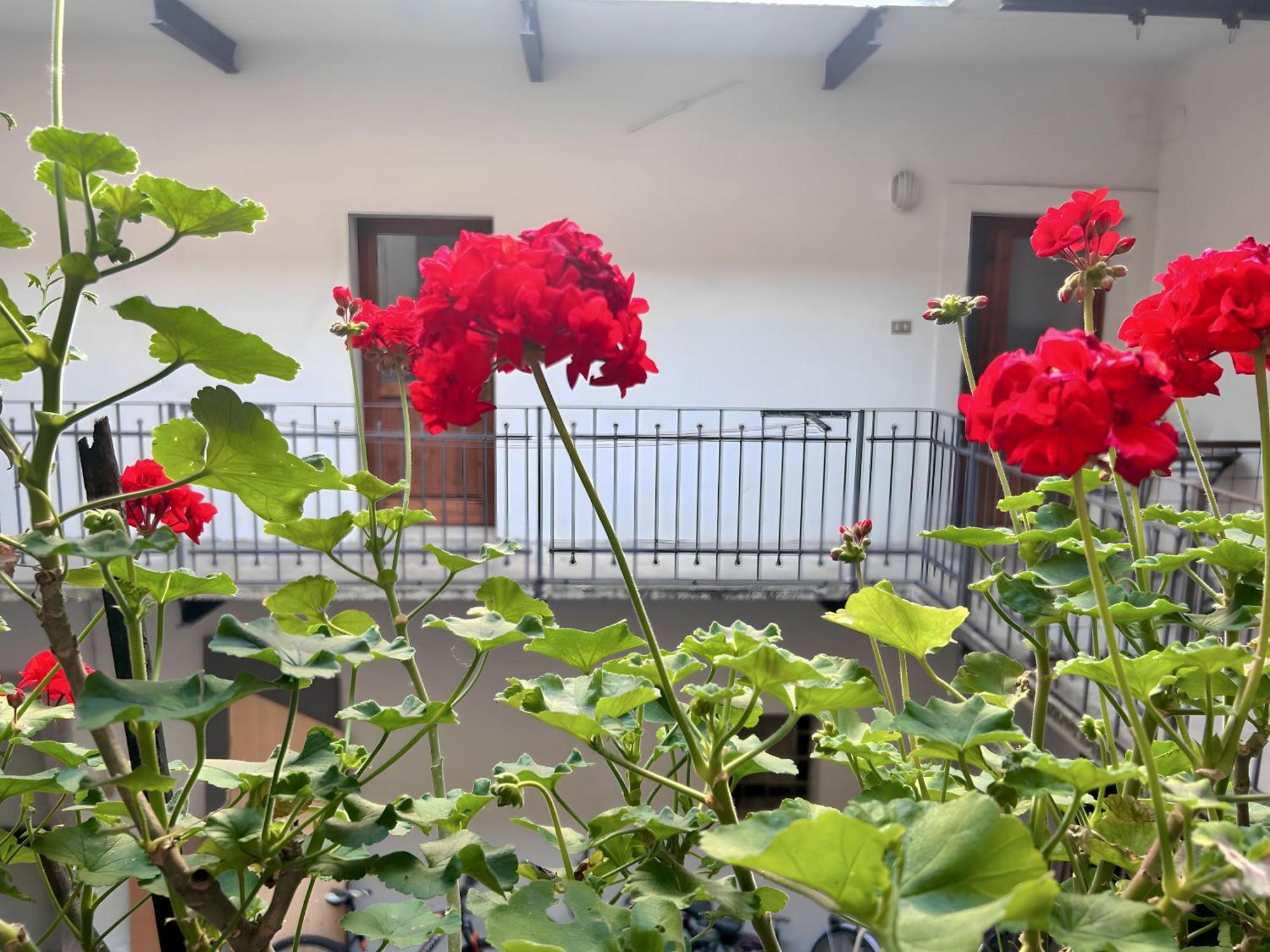 Gorizia Holiday Inn Rastello Suite Exterior photo